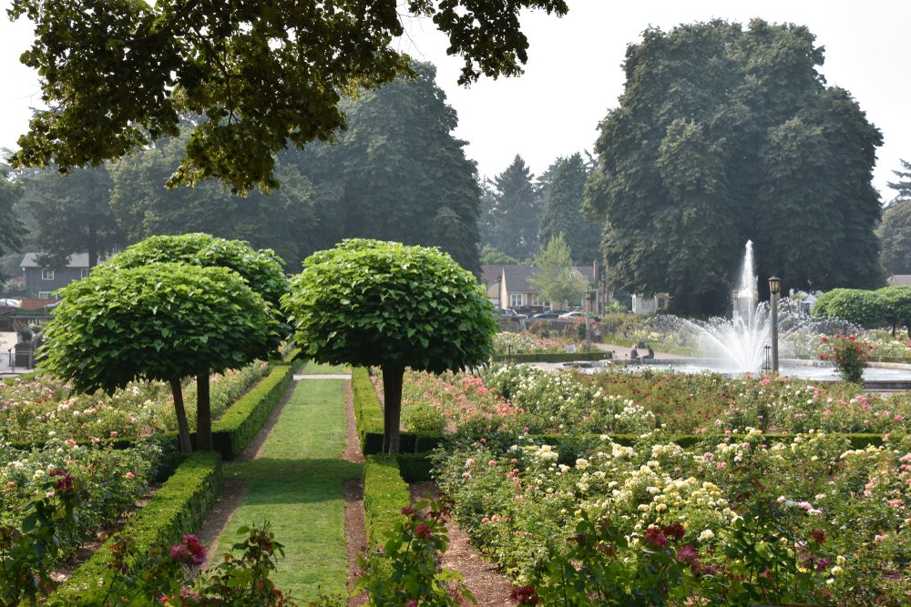 Flowers at Peninsula Park and Rose Garden
