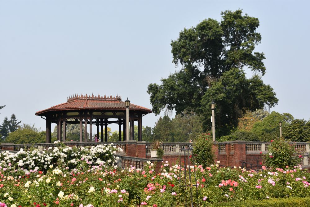 A gazebo at Peninsula Park and Rose Garden