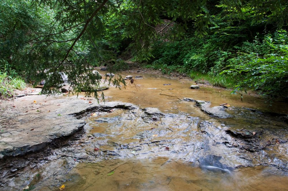 Waters at Coonskin Park
