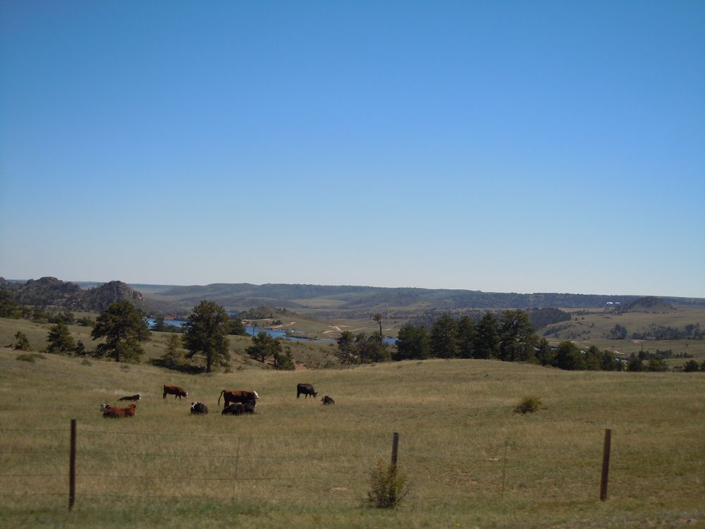 Daytime view of Curt Gowdy State Park