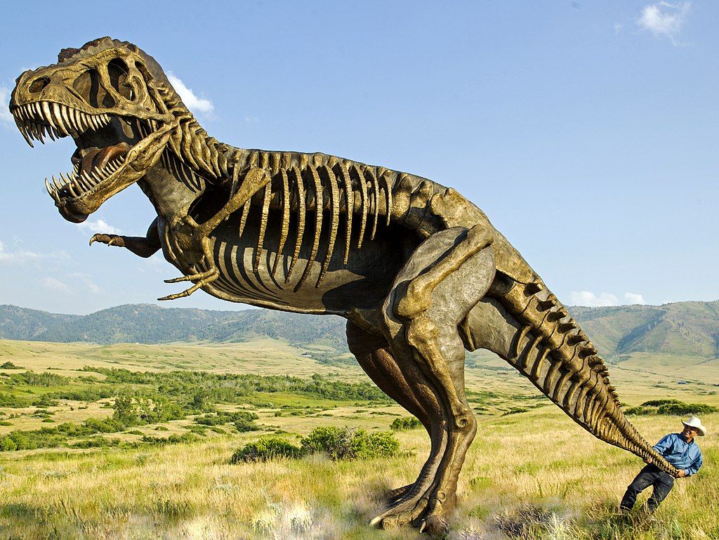 T-Rex statue at Tate Geological Museum's entrance