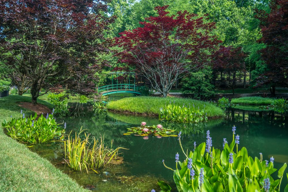 A pond surrounded by trees in Gibbs Gardens