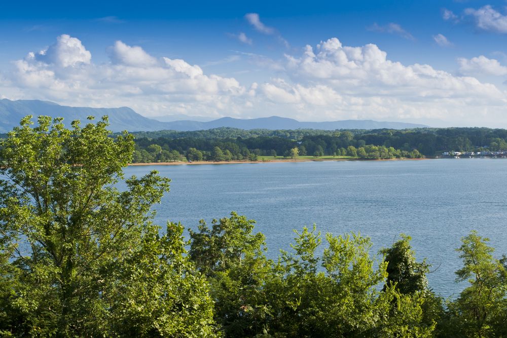 Sunny day at Douglas Lake