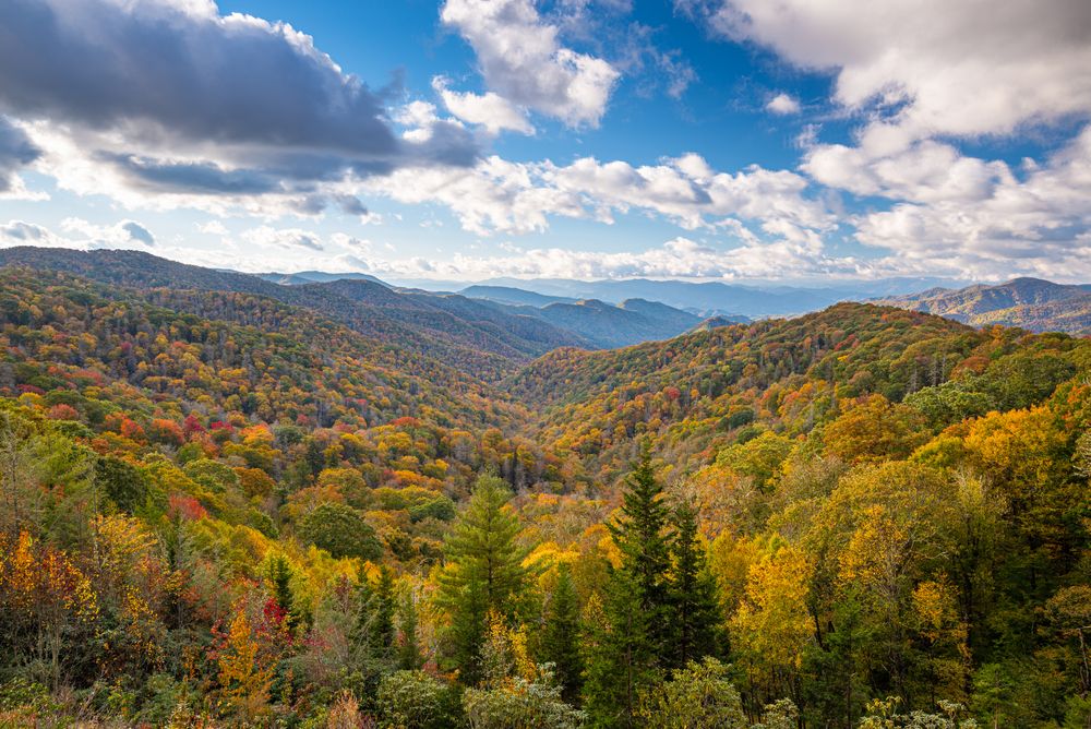 Scenic view from Smoky Mountain National Park