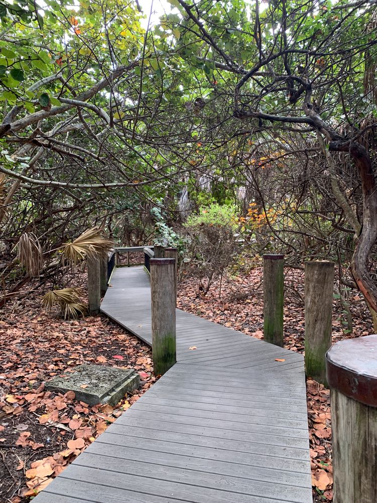Wooden bridge of the state park with dried leaves scattered on the ground.