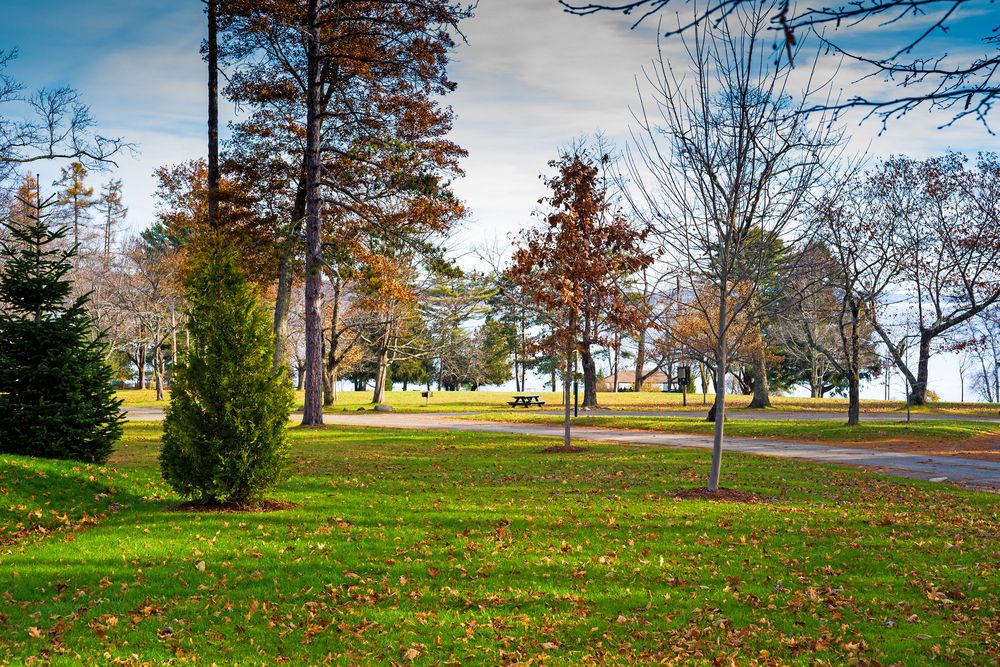 The grounds of Belfast City Park