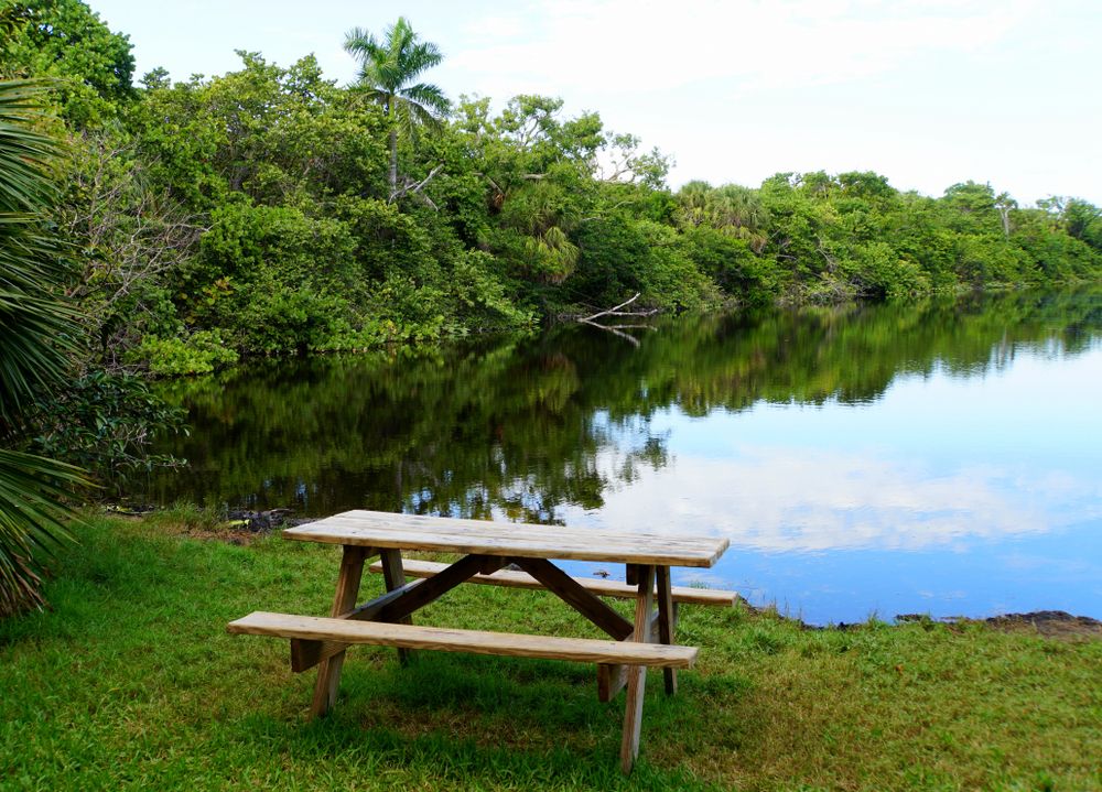 Picnic table overlooking the waters of Hugh Taylor Birch State Park