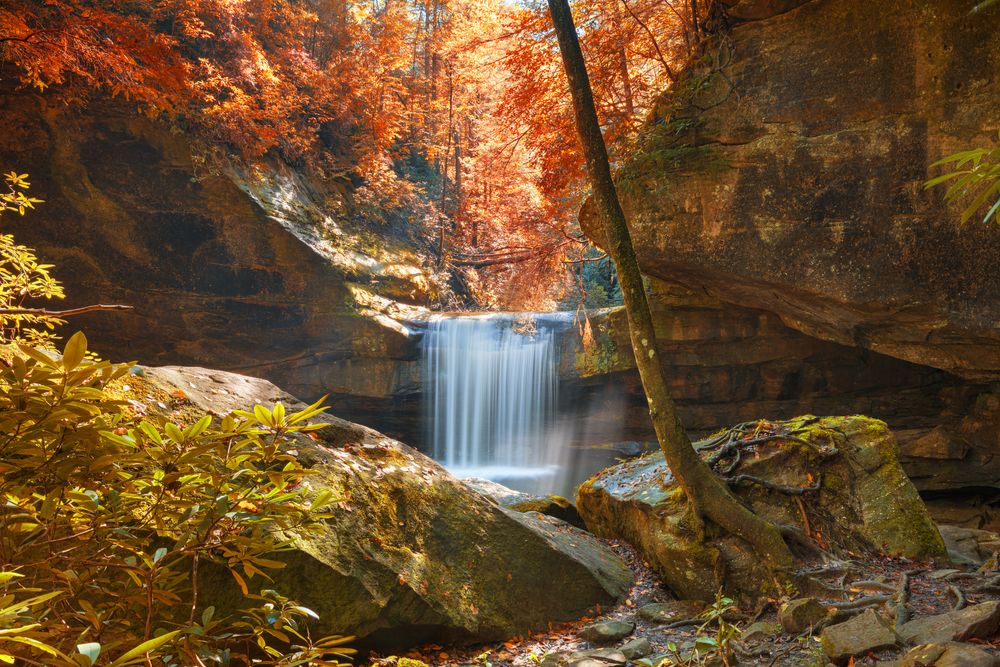 Scenic view of Dog Slaughter Falls