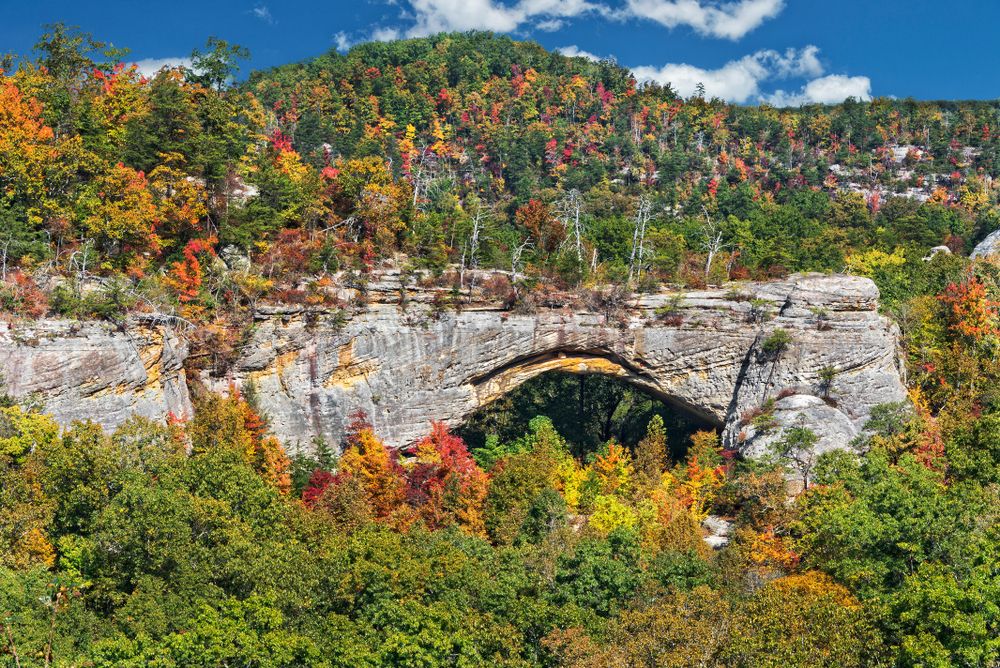 Fall trees surrounding Natural Arch Scenic Area