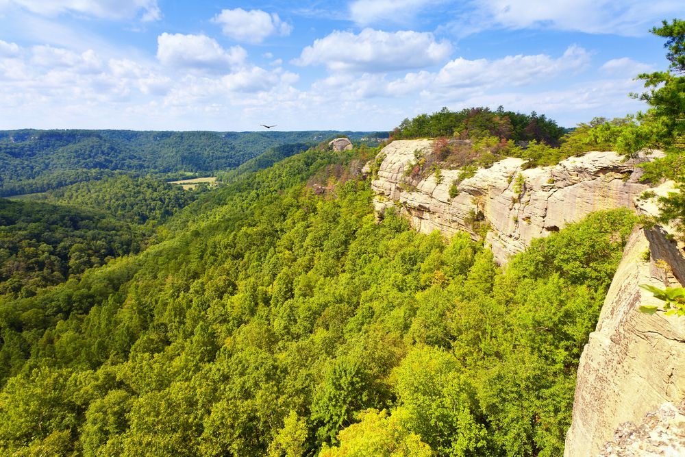 The view from Red River Gorge