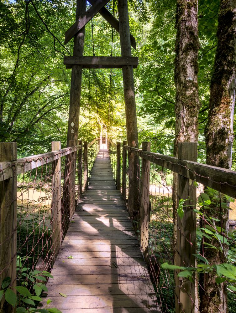 Wooden hanging bridge at Sheltowee Trace