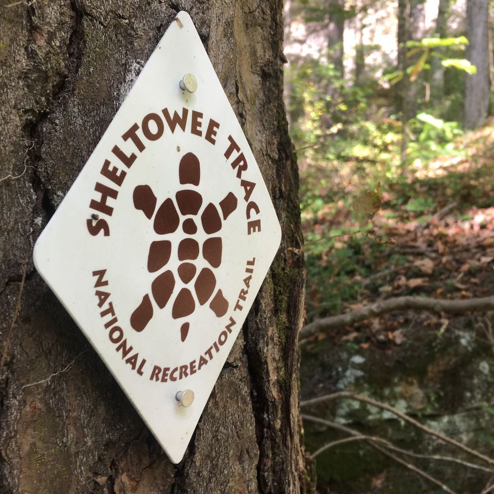 Name sign of Sheltowee Trace on a tree