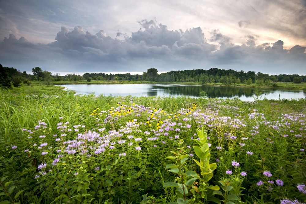 Scenic view of Blackwell Forest Preserve