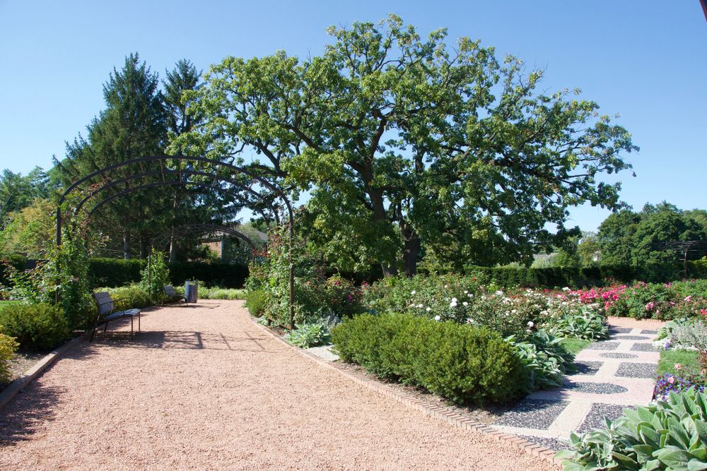 Trail at Cantigny Park
