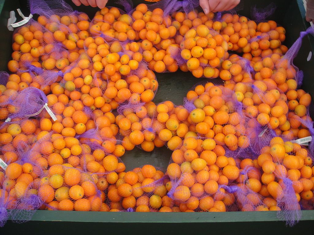 Kumquat bags for sale at the Annual Kumquat Festival
