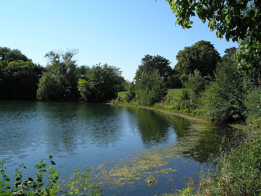 Waters at Mayslake Peabody Estate