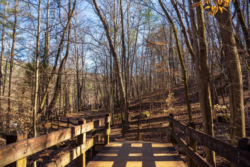 Boardwalk at Sweetwater Creek State Park