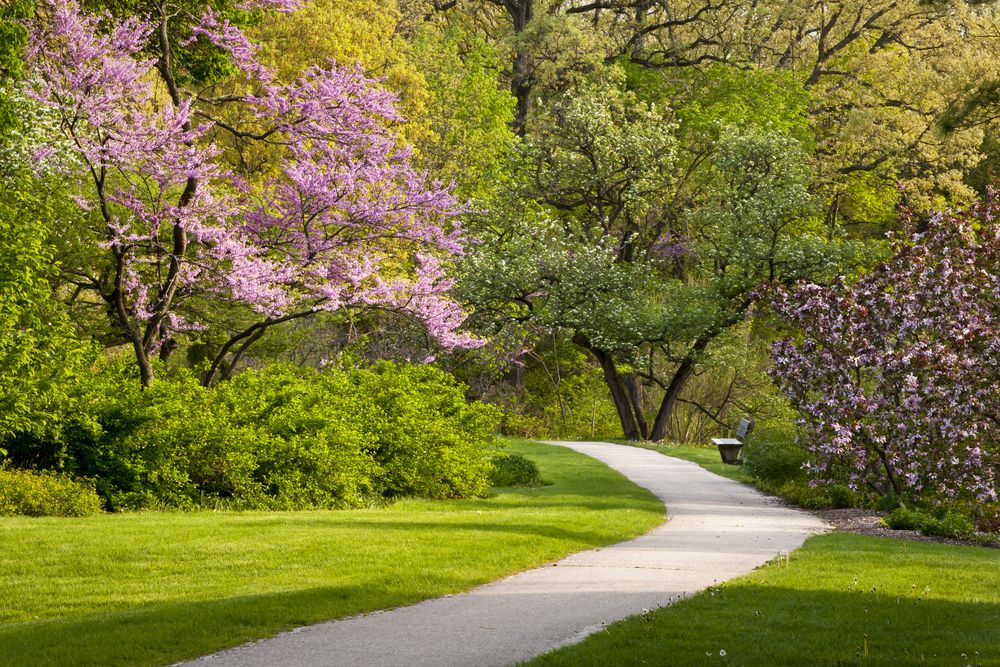 Joy path at The Morton Arboretum