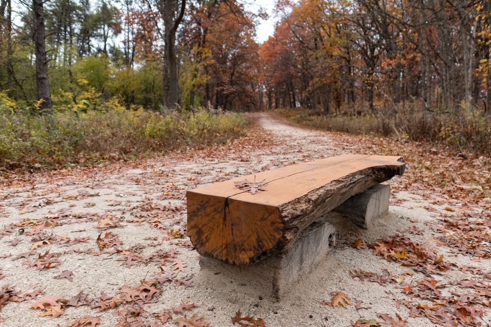 Log bench at Waterfall Glen Forest Preserve