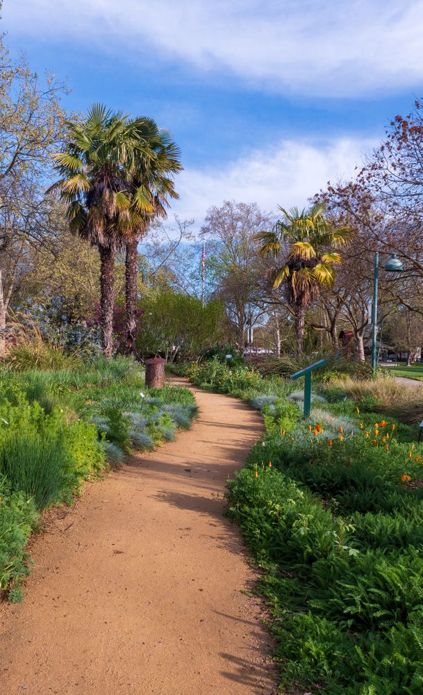 Trail at Central Park
