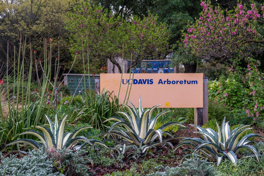 Welcome sign of UC Davis Arboretum