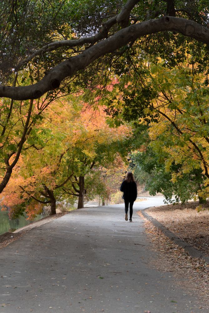 Trail at UC Davis Arboretum