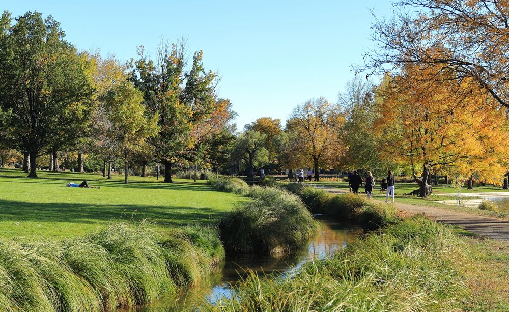 The grounds of Washington Park