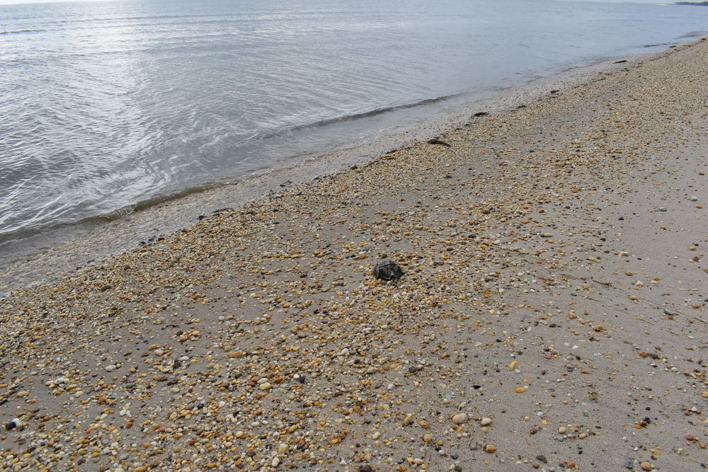 Daytime view of Slaughter Beach