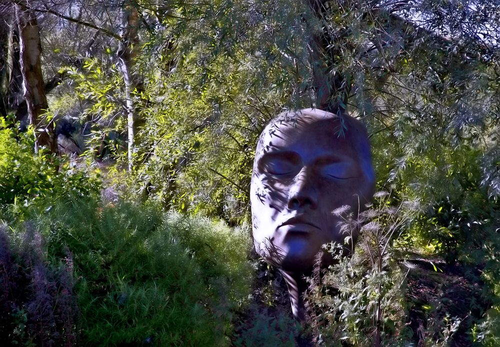 Bronze head at Sculpture by the Lakes