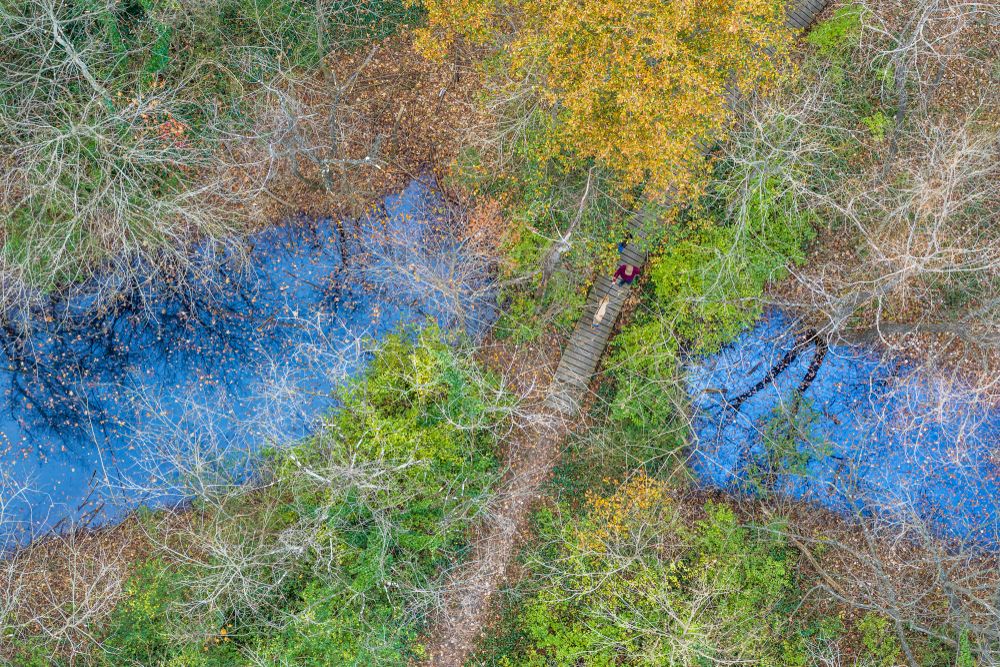 Aerial view of the clyde shepherd nature preserve.