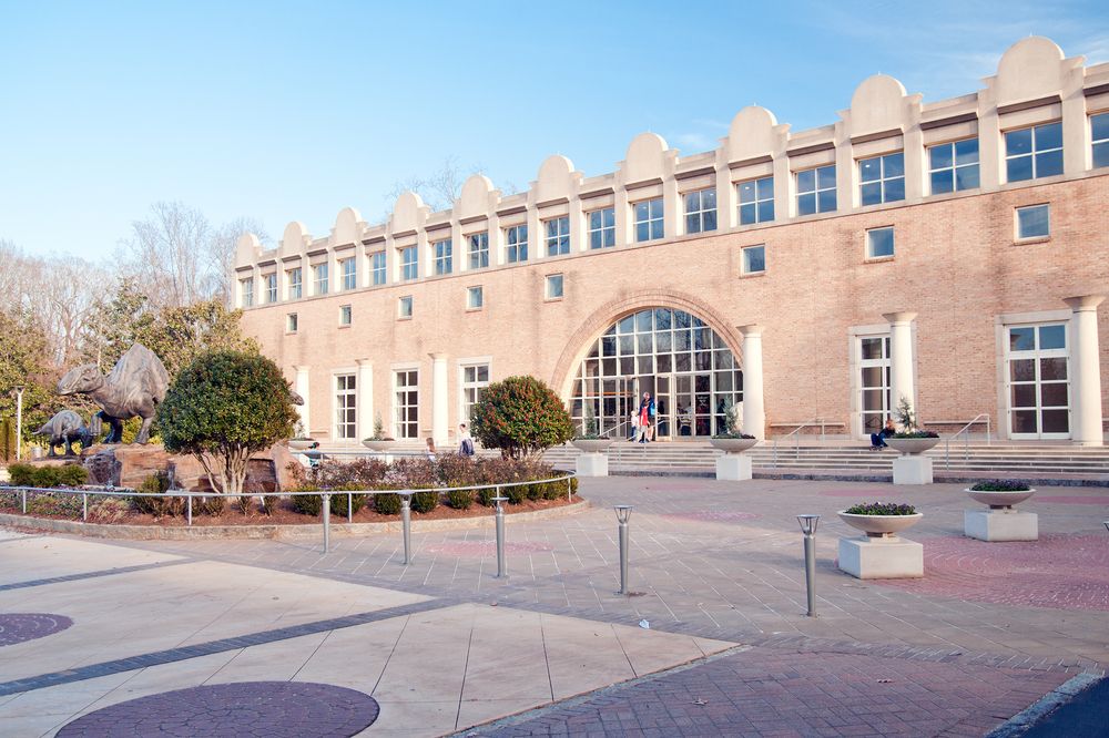 Exterior side view of the fernbank museum.
