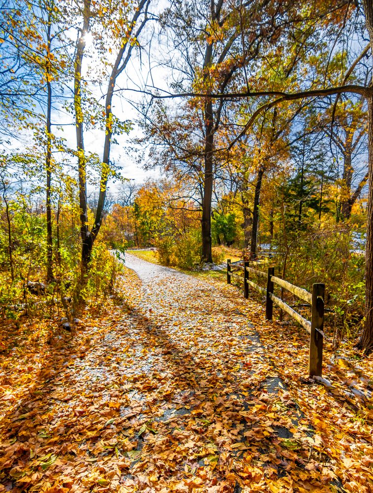 View of Delnor Woods Park