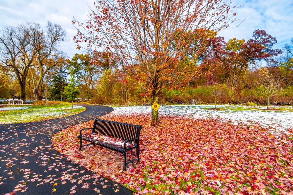 View of Delnor Woods Park