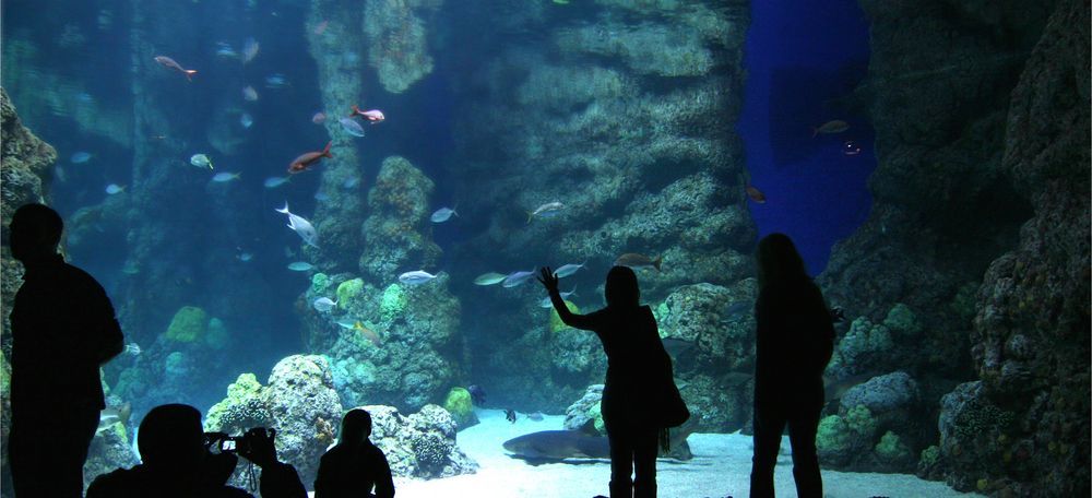 Denver Aquarium