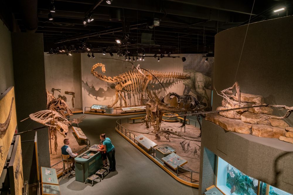 Interior of Denver Museum of Nature & Science