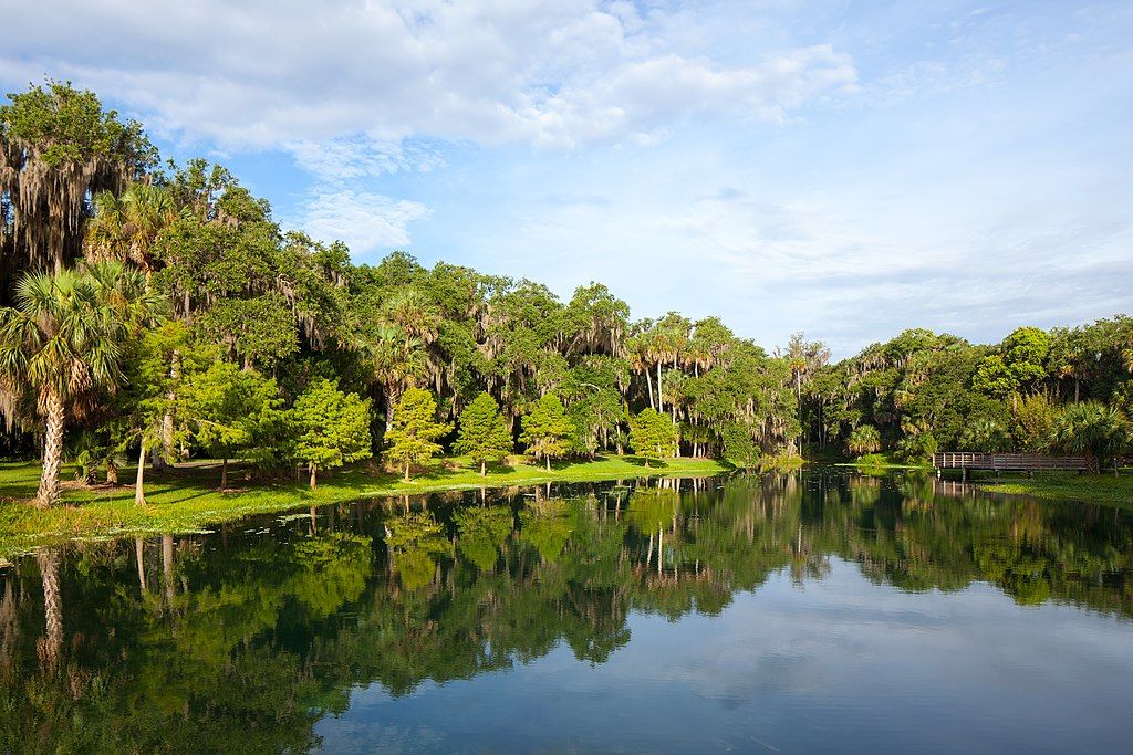 Trees and the sky reflecting on Gemini Springs Park's water