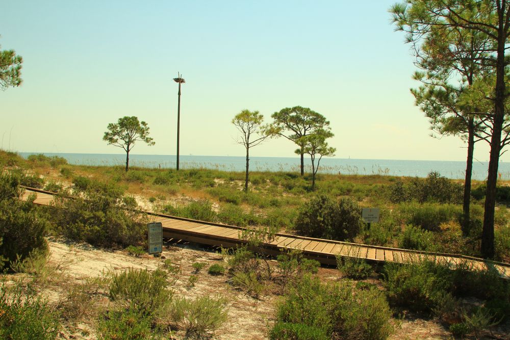 Boardwalk at Audubon Bird Sanctuary