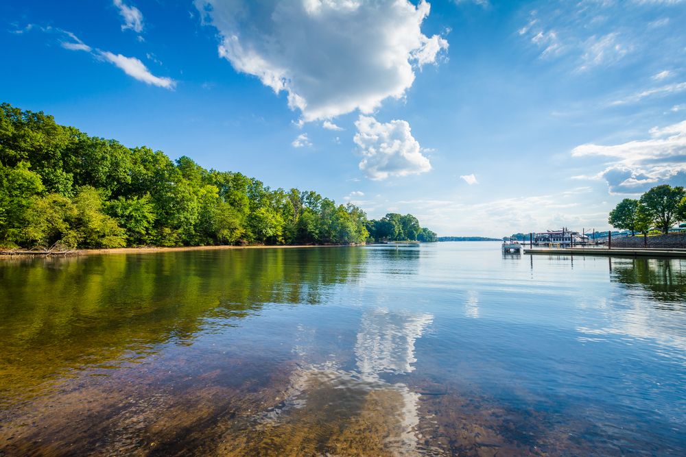 Clear Water in Lake Norman