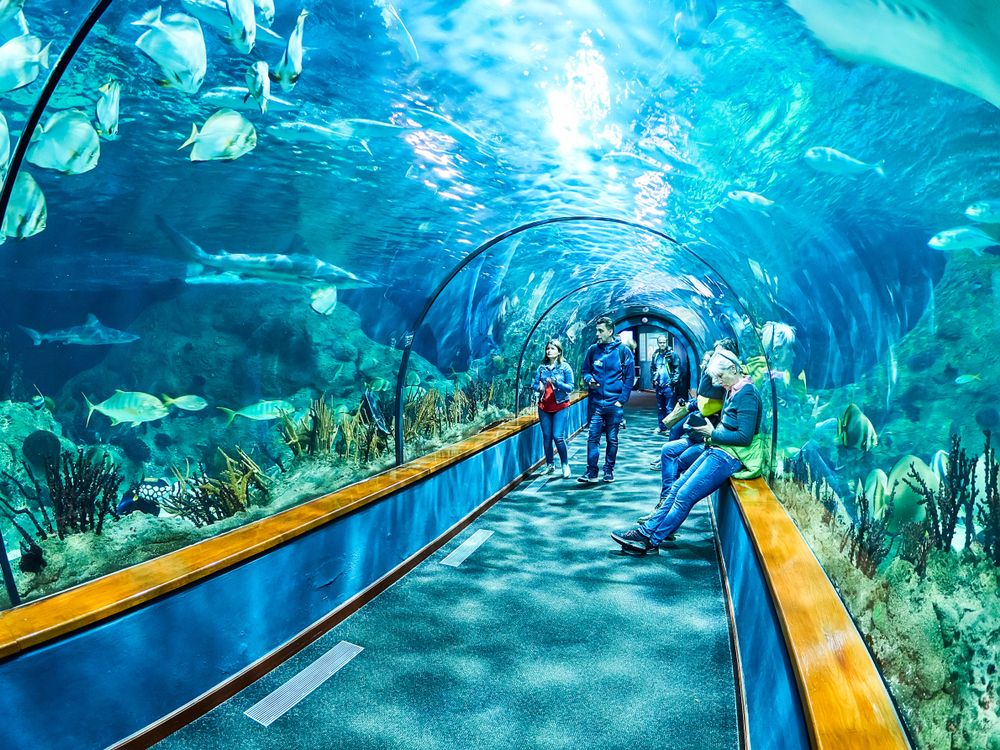 View of Loro Parque
