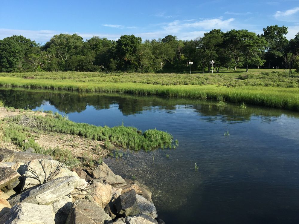 The waters of Greenwich Point Park