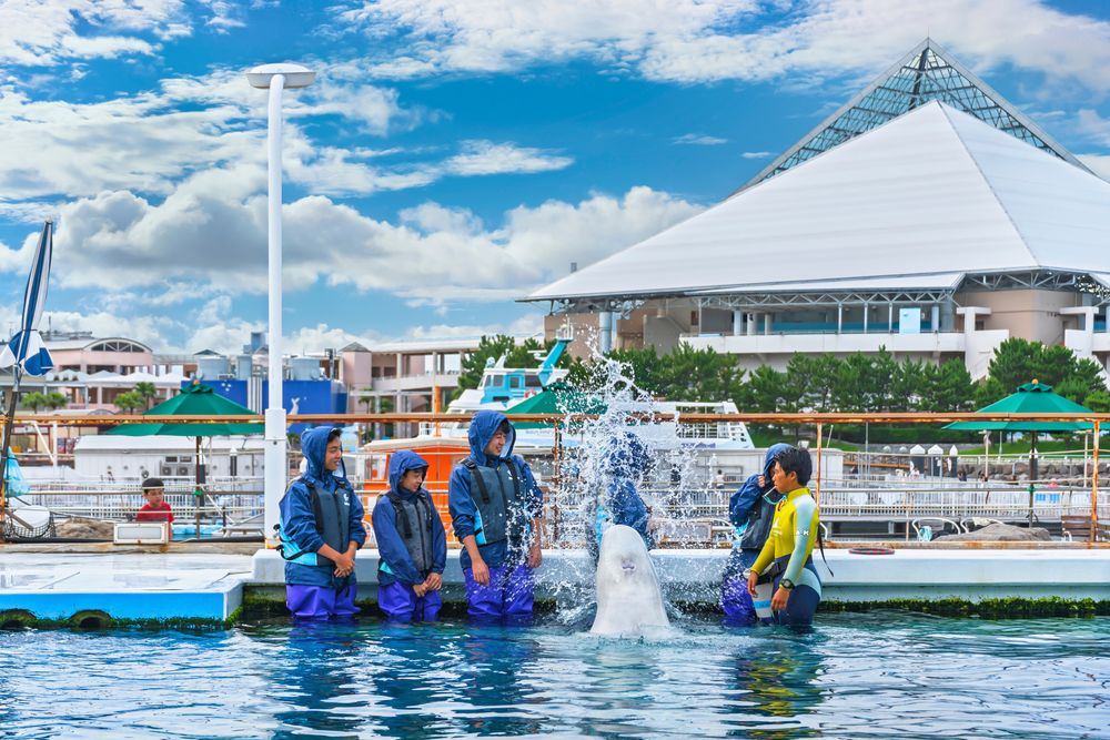 Hakkeijima Sea Paradise