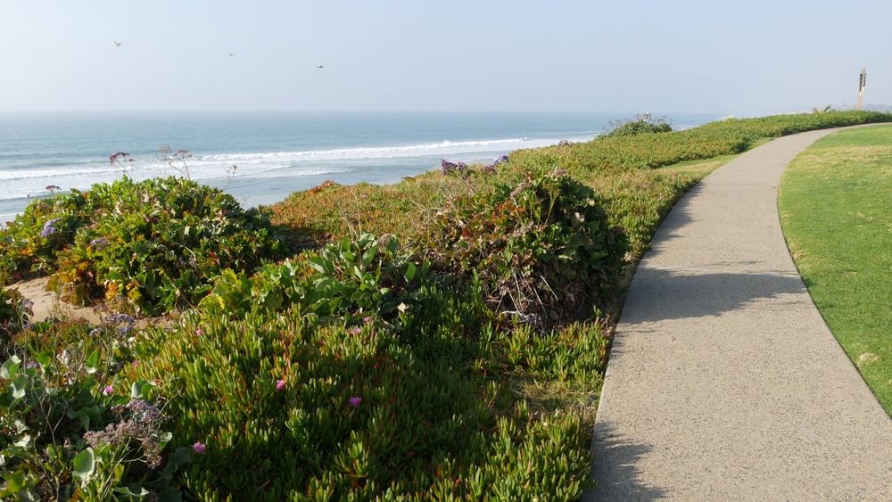 Paved trail at Seagrove Park