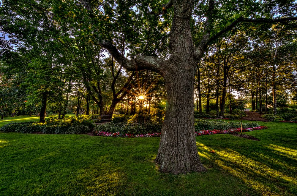 The grounds of Enger Park