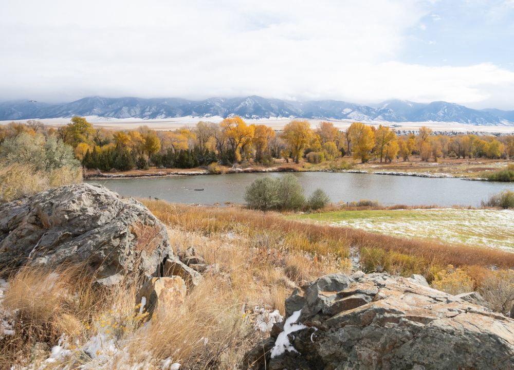 Autumn trees surrounding Beaverhead River