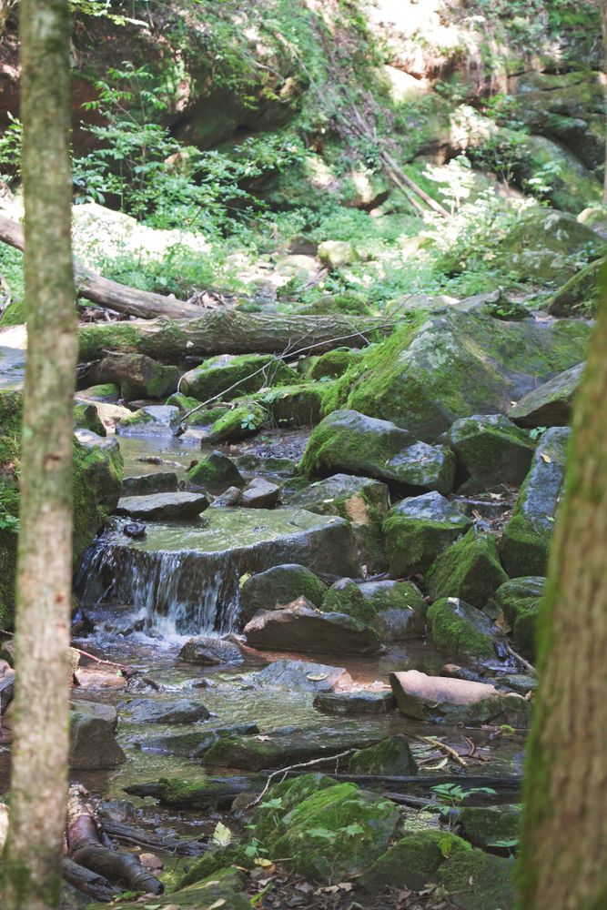 Body of water along Stephen’s Falls Trail