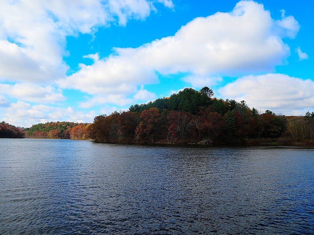 Calm waters of Cox Hollow Lake
