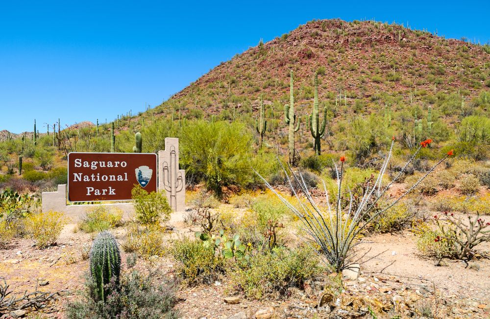 Welcome sign of Saguaro National Park