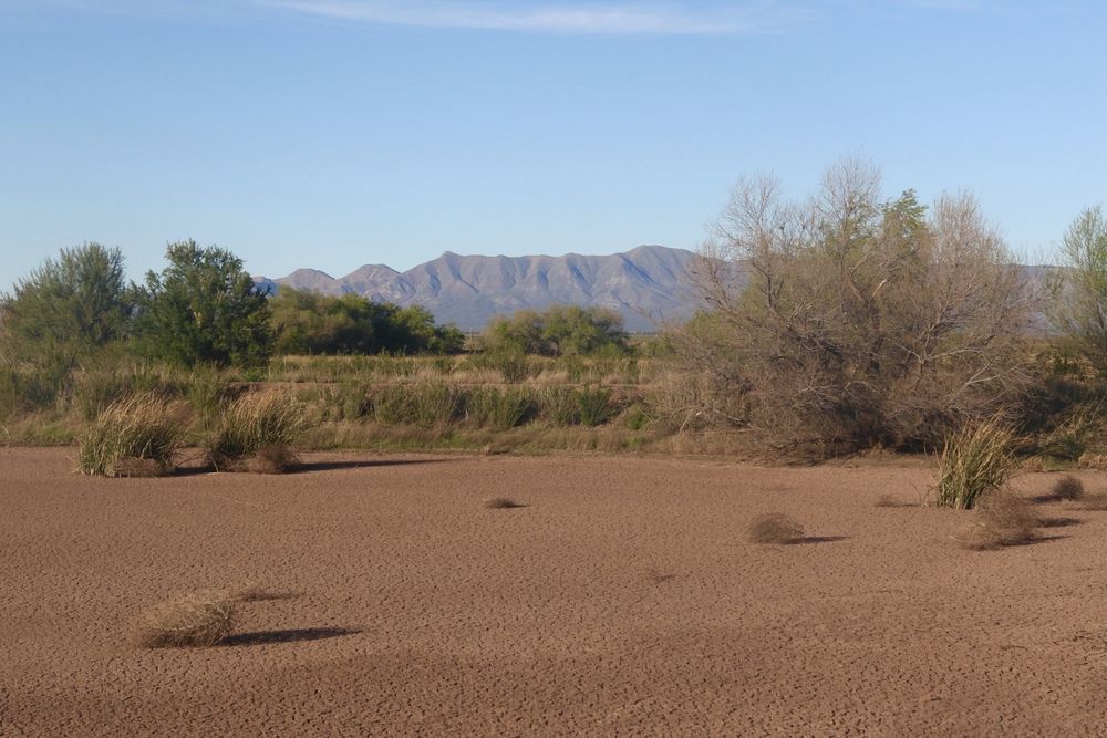 A dry pond at Whitewater Draw Wildlife Area