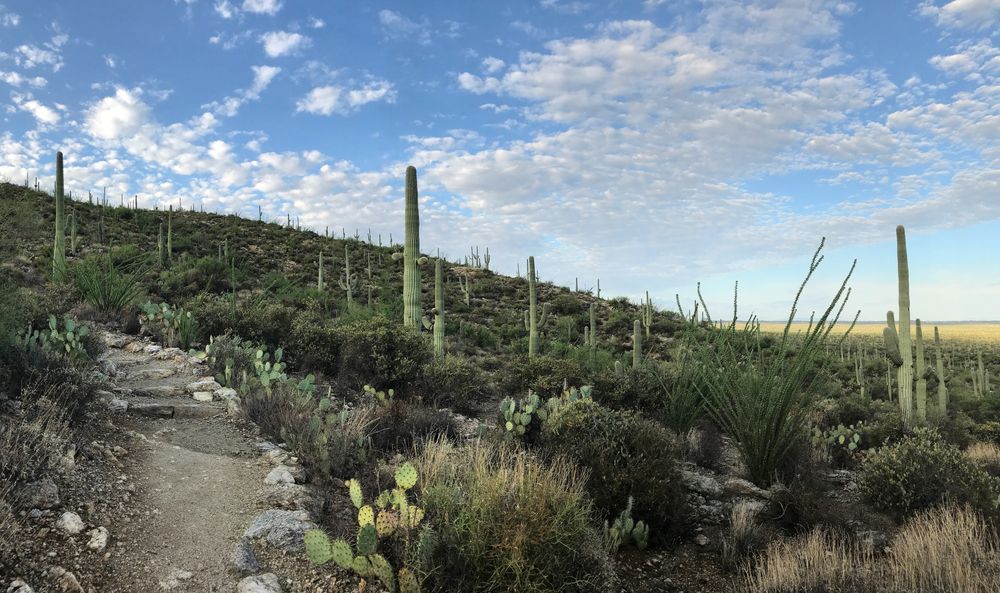 Daytime at Douglas Spring Trailhead