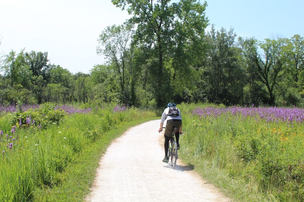 A person cycling along Des Plaines River Trail